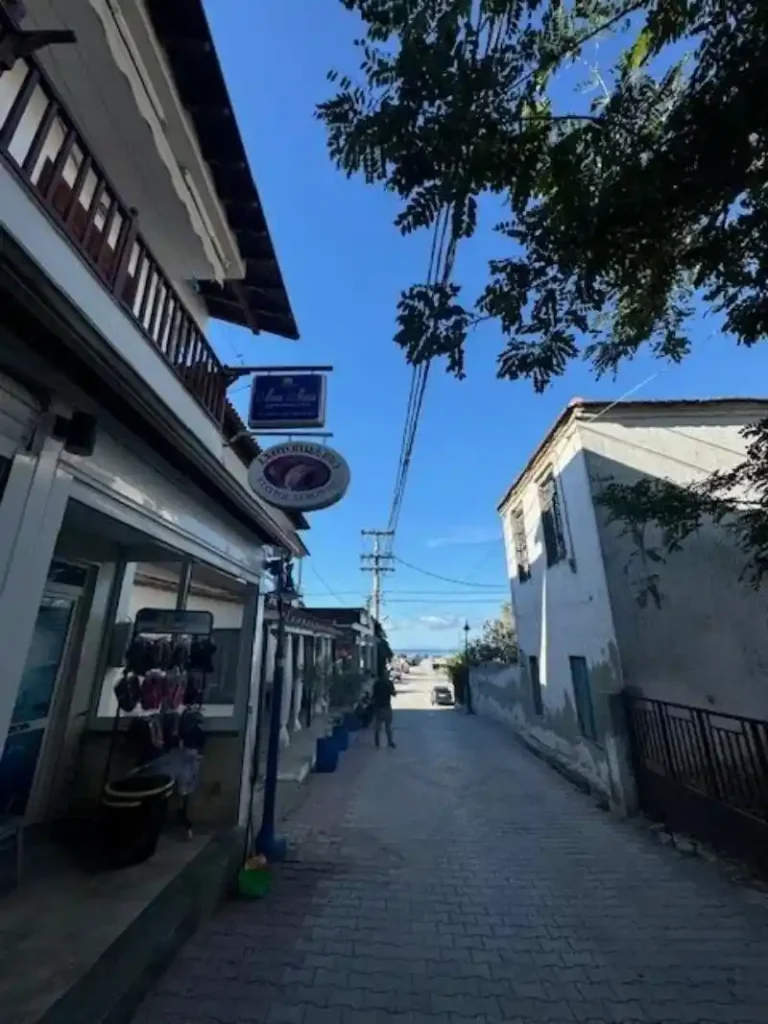 Vila MINA MARIA Nea Skioni
