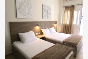 Vila ANASTASIOS JANIS Nea Vrasna