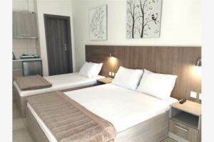 Vila ANASTASIOS JANIS Nea Vrasna