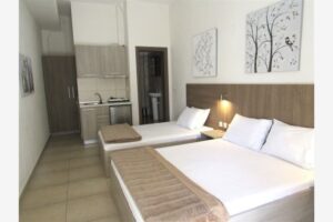 Vila ANASTASIOS JANIS Nea Vrasna