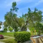 Aparthotel NIKIFOROS VILLAGE Hanioti