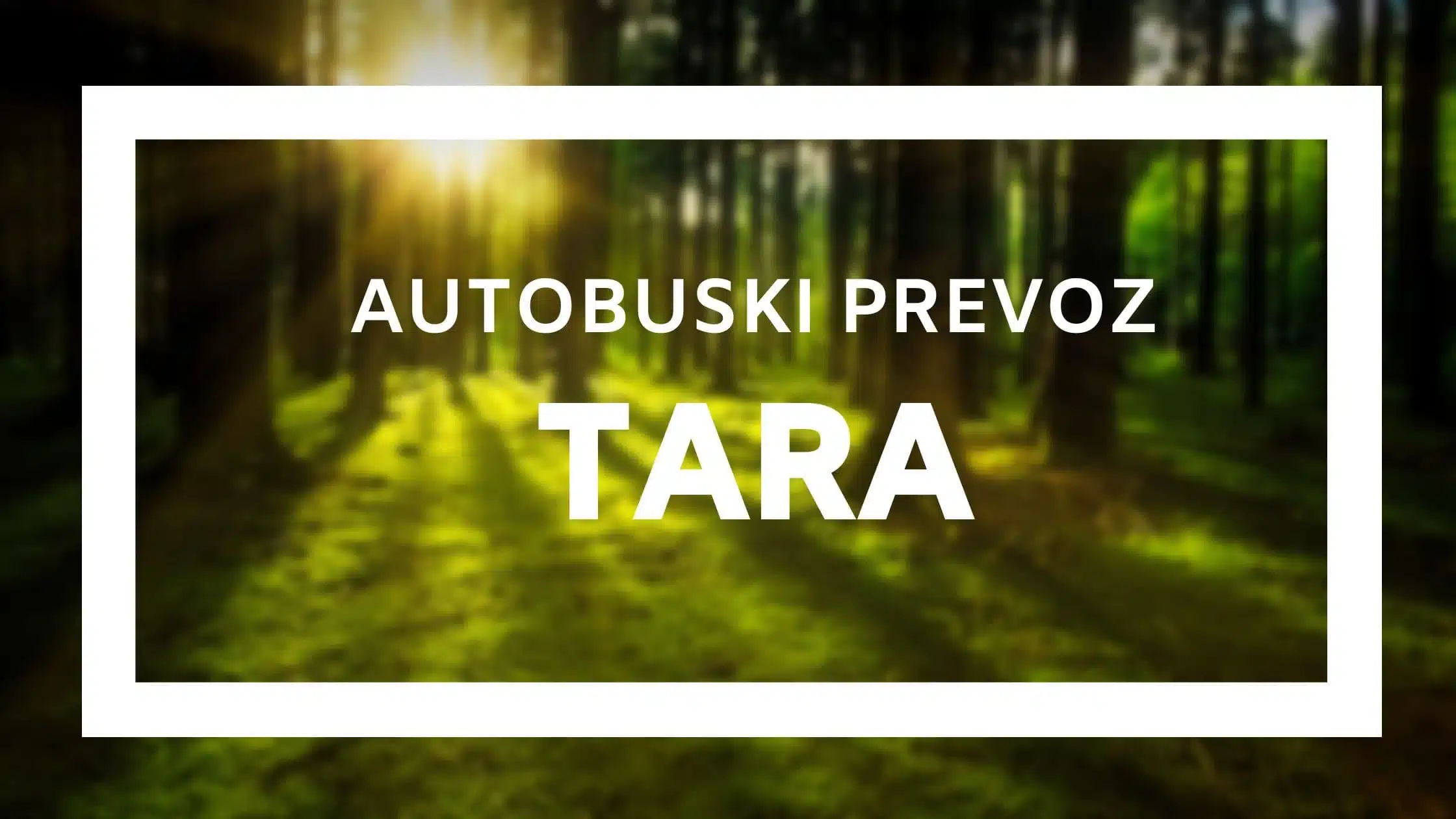 Autobuske karte Novi Sad-Tara
