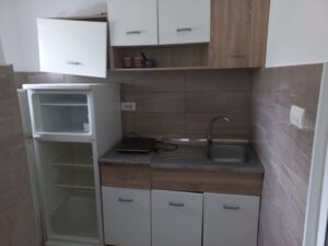 Vila BOROVI Nea Kalikratia