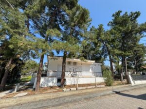 Vila BOROVI Nea Kalikratia