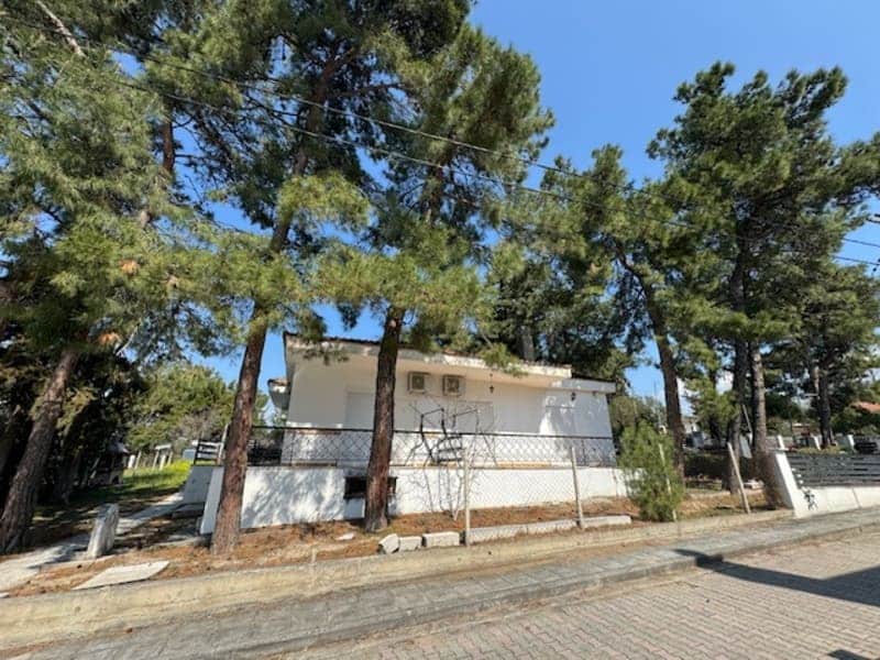 Vila BOROVI Nea Kalikratia