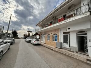 Vila DINA Nea Flogita