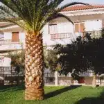 Vila ELENI Polihrono