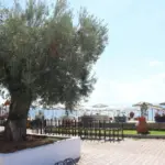 Vila LIOTRIVI BEACH Gerakini